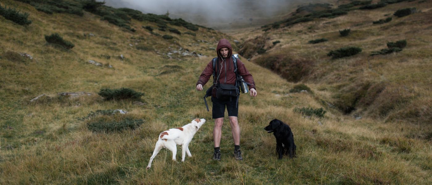 Ein Mann mit Rucksack steht mit zwei Hunden auf einer Wiese vor einer Berglandschaft.