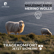 Werbegrafik für Damen Merino Shorts 150 g/m2 aus zertifizierter, mulesingfreier Merinowolle mit zwei Schafen auf einer Wiese oberhalb eines Sees.