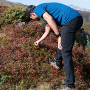 Person inspiziert Pflanzen auf einem Hügel in Softshell Wanderhose Herren, ideal für Outdoor-Aktivitäten, bietet Bewegungsfreiheit und Komfort durch recyceltes Material und 4-Wege-Stretch.