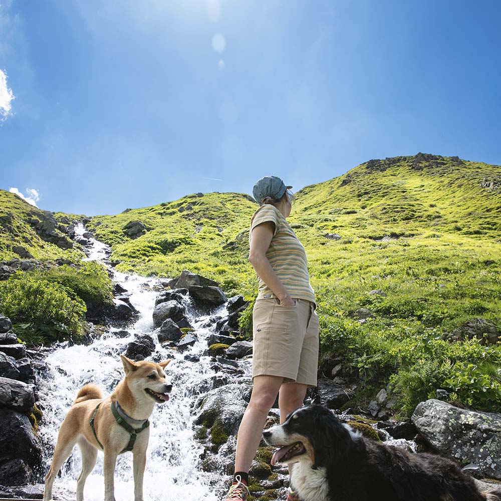 Person trägt Kurze Wanderhose Damen neben zwei Hunden am Bach; ideal für Outdoor-Aktivitäten durch reißfestes, wasserabweisendes Material und hohe Atmungsaktivität.