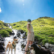 Person trägt Kurze Wanderhose Damen neben zwei Hunden am Bach; ideal für Outdoor-Aktivitäten durch reißfestes, wasserabweisendes Material und hohe Atmungsaktivität.
