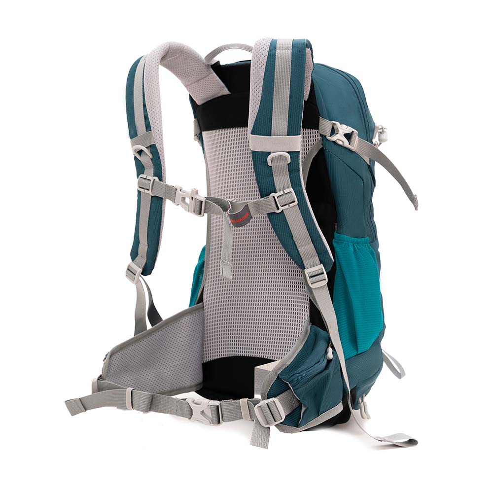 30 L Wanderrucksack Herren & Damen von Alpin Loacker, Rückansicht: gepolsterte, belüftete Rückenpartie, verstellbare Schultergurte, Brustgurt, Hüftgurt, Seitentaschen, Kompressionsriemen.
