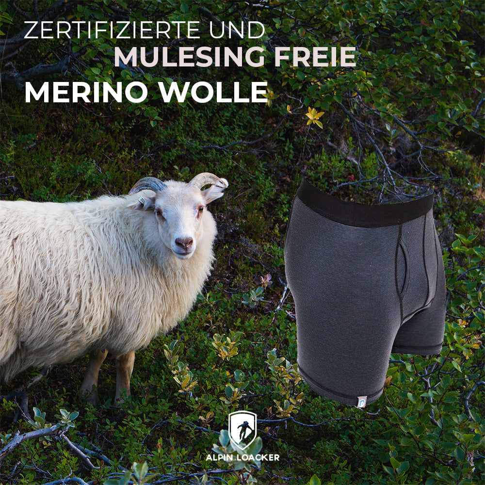 m² neben Merinoschaf, beworben als zertifiziert und mulesing-frei, für Outdoor-Aktivitäten und Alltag, mit innovativer CORESPUN-Technologie für Komfort und Funktionalität.