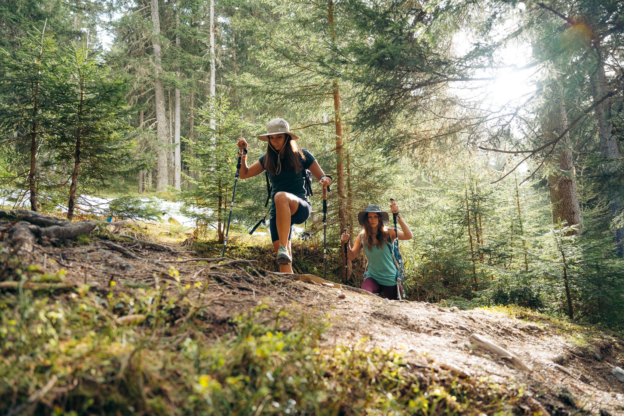Eine Gruppe von Frauen wandert im Wald, einige tragen Hüte und Wanderstöcke, in Verbindung mit Outdoor-Ausrüstung von Alpinloacker.