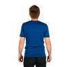 ALPIN LOACKER Merino v-neck shirt mens blue back view