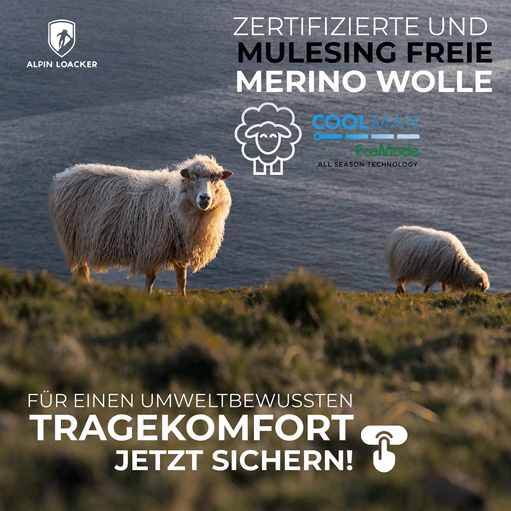 Alpin Loacker Werbung: Zwei Schafe auf Küstenwiese, beworben werden mulesingfreie Coolmax Merino Boxershorts Herren – 2er Set, für umweltbewussten Tragekomfort beim Outdoor-Abenteuer.