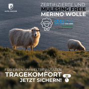 Alpin Loacker Werbung: Zwei Schafe auf Küstenwiese, beworben werden mulesingfreie Coolmax Merino Boxershorts Herren – 2er Set, für umweltbewussten Tragekomfort beim Outdoor-Abenteuer.