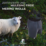 Merino Boxershorts Herren 150 g/m2 neben einem Schaf in der Natur, symbolisiert Komfort und Funktionalität für Outdoor-Aktivitäten. Ideal für Wanderungen und sportliche Abenteuer.
